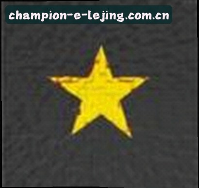 王琳